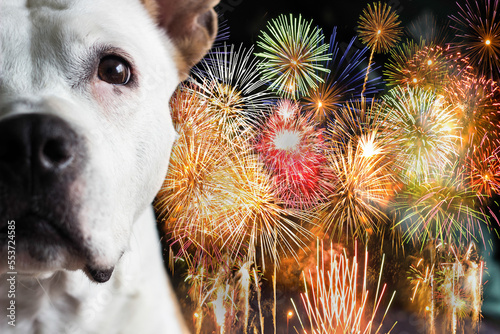Please don't throw firecrackers I'm afraid