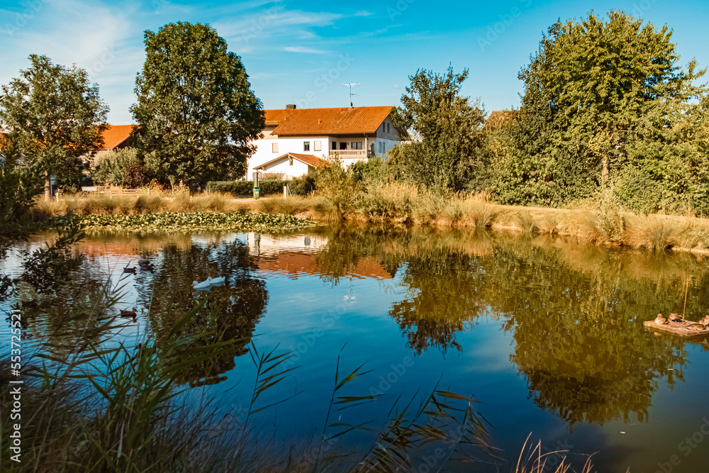 Obraz premium Beautiful summer view with reflections in a pond at Aholming, Bavaria, Germany