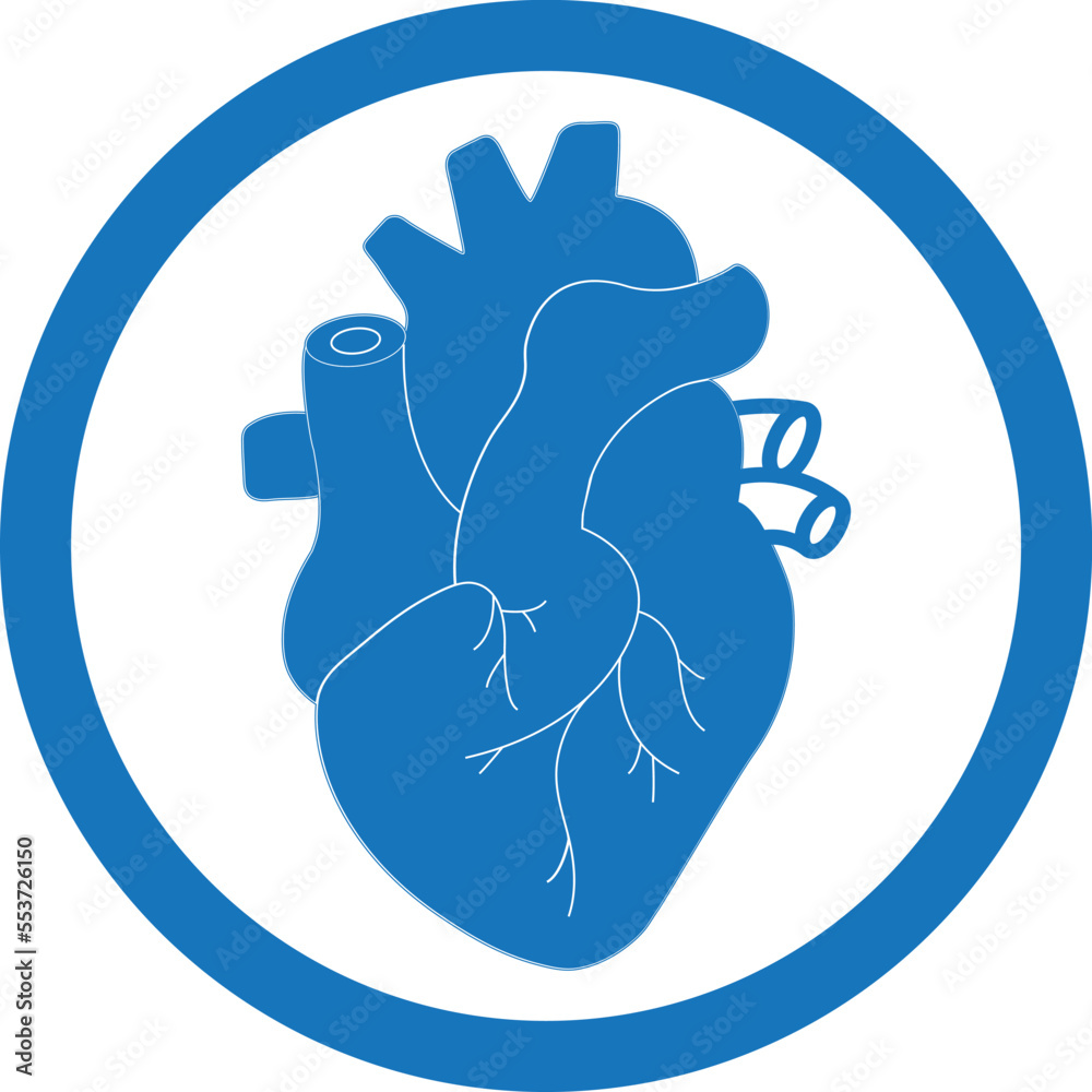 Human heart icon, human cardiology clinical icon blue vector Human heart icon, human cardiology clinical icon blue vector
