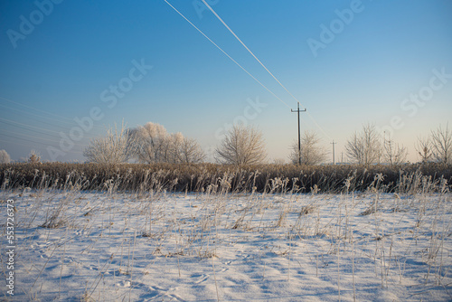 winter landscape, snowy landscape