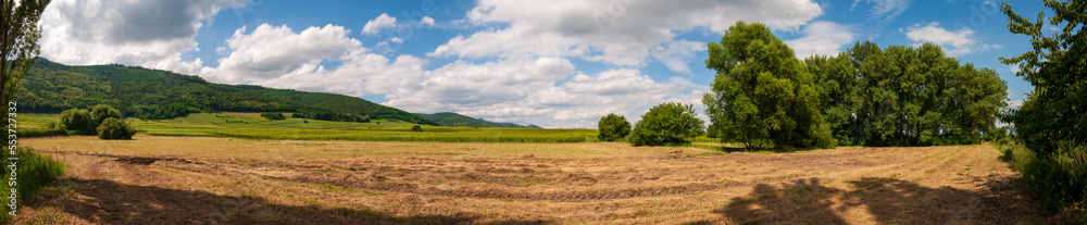 Prairie fauché et sèchage du foin en Alsace, CEA, Grand Est, France Prairie fauché et sèchage du foin en Alsace, CEA, Grand Est, France