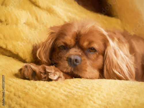 Digital oil painting of a single isolated ruby Cavalier King Charles Spaniel on a sofa.