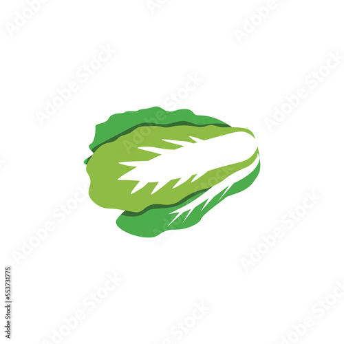 mustard green vegetable icon vector illustration design