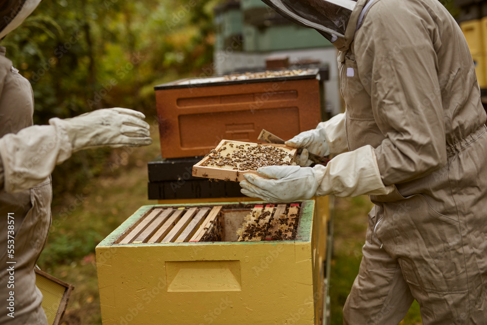 Bee-keepers during work Bee-keepers during work