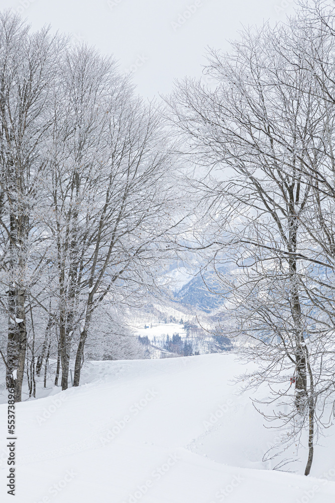 冬の長野県白馬村の雪景色