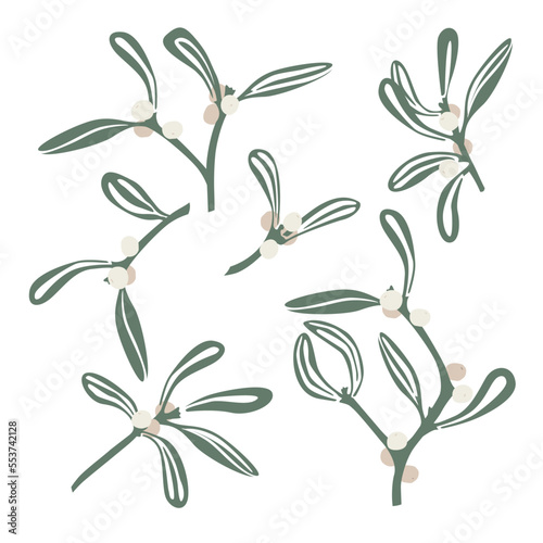 Mistletoe branches with white berries. Vector isolated set. Christmas decoration plant, floral cartoon elements, mistletoe branch decoration