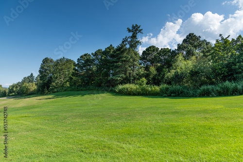 Fototapeta Naklejka Na Ścianę i Meble -  Landscape of golf course in the countryside