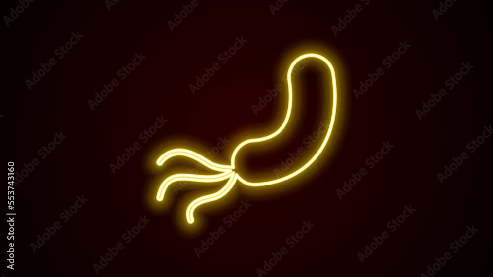 Glowing neon line Bacteria icon isolated on black background. Bacteria and germs, microorganism disease causing, cell cancer, microbe, virus, fungi. 4K Video motion graphic animation Glowing neon line Bacteria icon isolated on black background. Bacteria and germs, microorganism disease causing, cell cancer, microbe, virus, fungi. 4K Video motion graphic animation