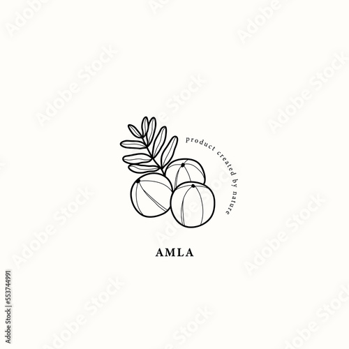 Line art amla branch illustration