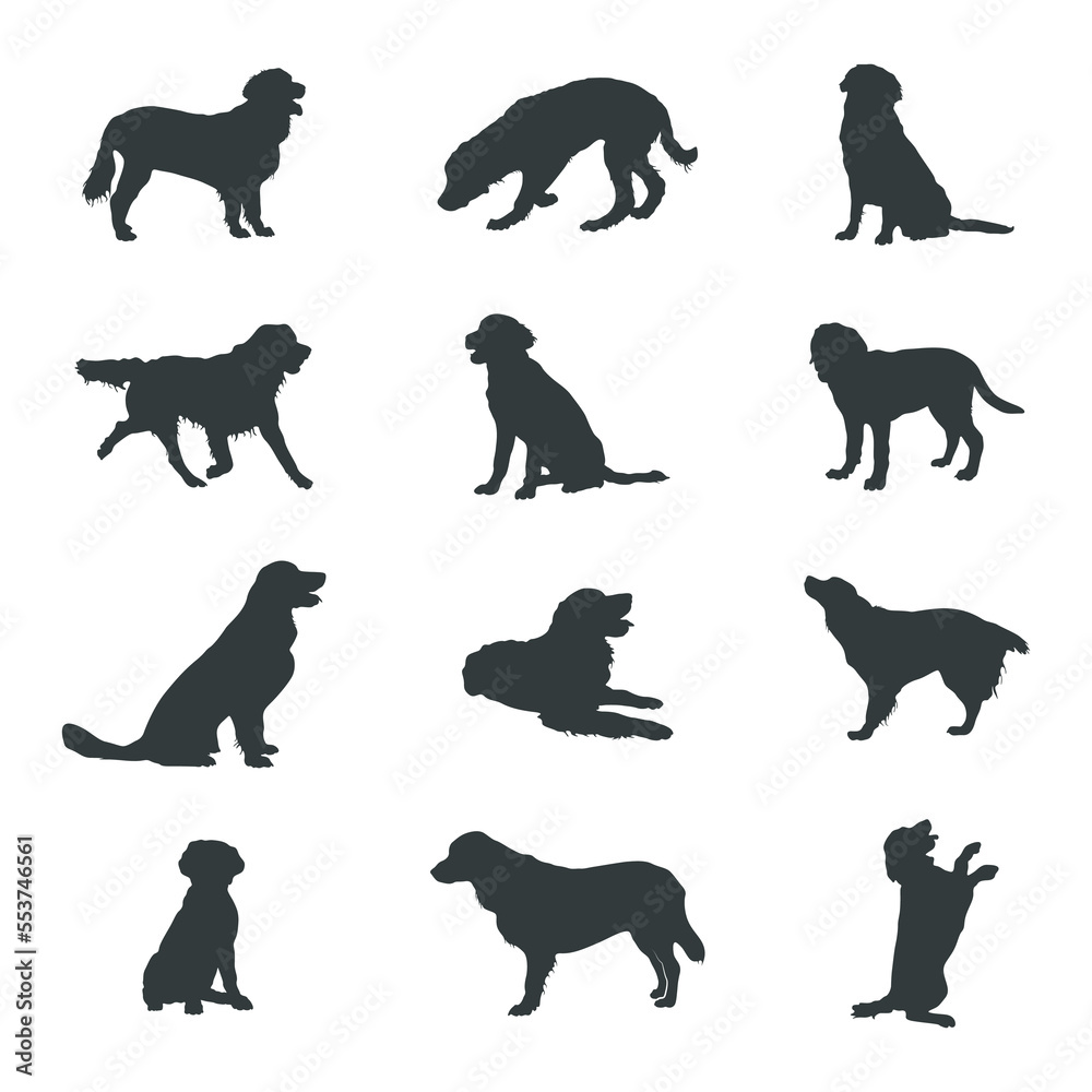 Golden retriever dog silhouettes
