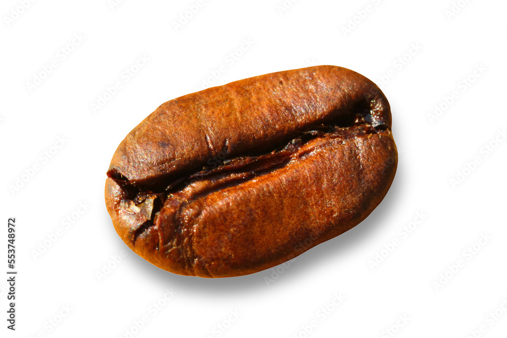 Coffee beans isolated on transparent background. Coffee beans isolated on transparent background.
