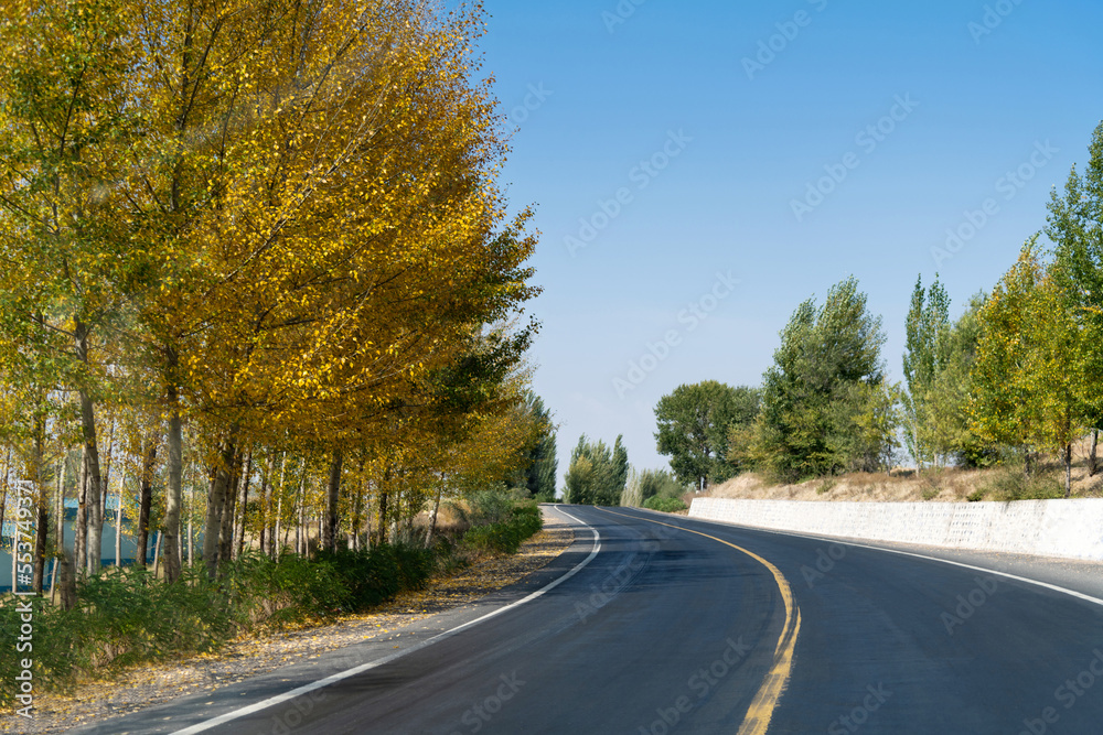 Curved asphalt road surrounded with trees on a sunny day Curved asphalt road surrounded with trees on a sunny day