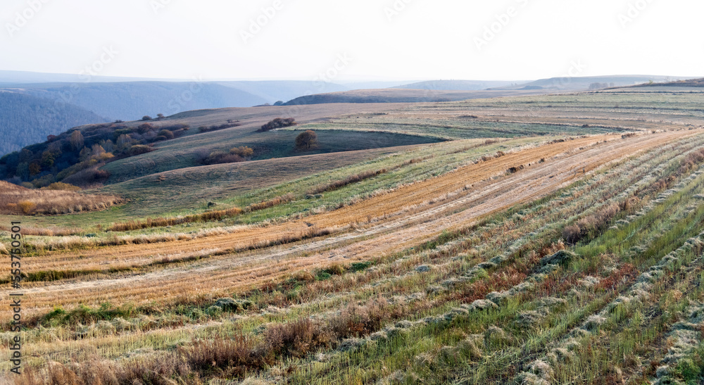 The Inner Mongolia prairie in early autumn day