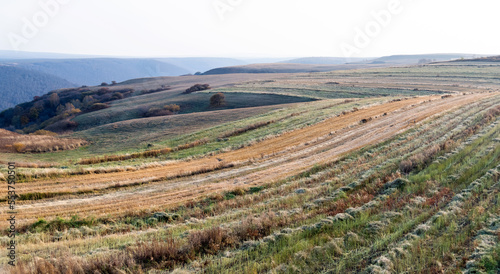 The Inner Mongolia prairie in early autumn day