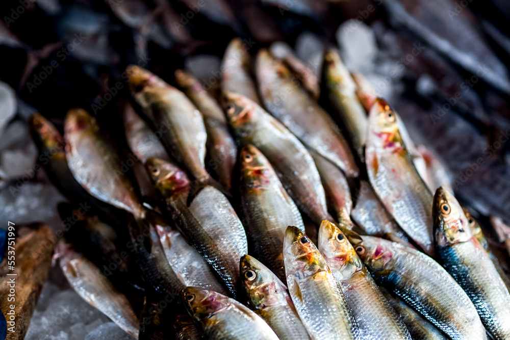 Fresh fish at the seafood market. Fish on the market stalls