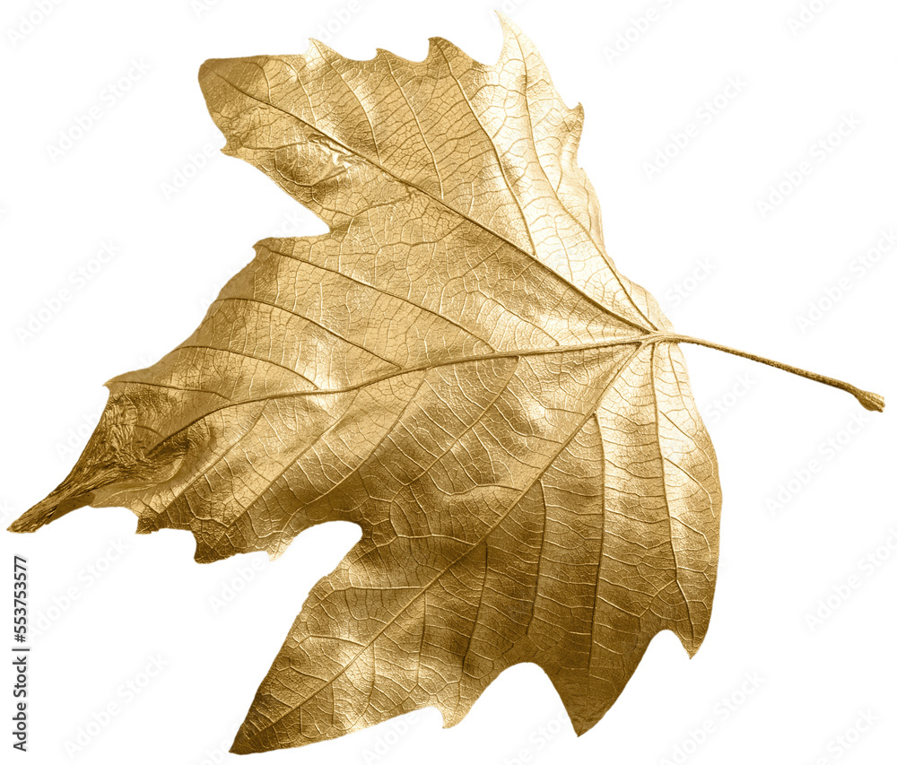 Autumn gold concept. Fall gold leaves pattern on background. Flat lay Autumn gold concept. Fall gold leaves pattern on background. Flat lay