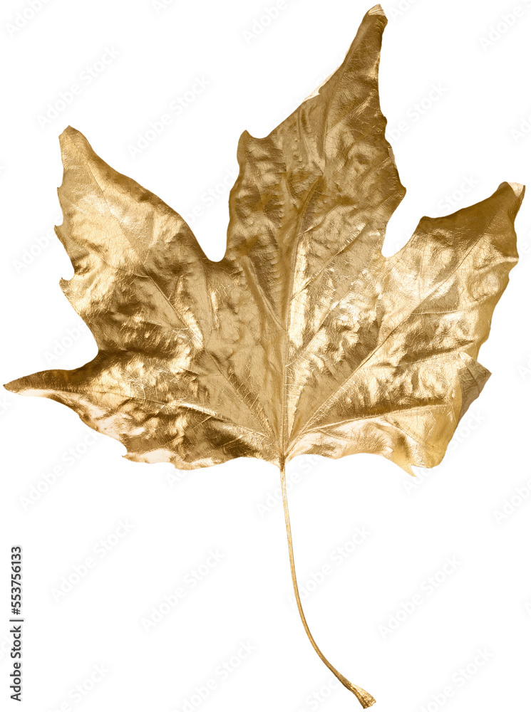 Fototapeta premium Autumn gold concept. Fall gold leaves pattern on background. Flat lay