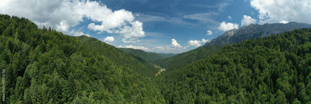 Aerial panorama of lush evergreen coniferous woods covering a small river valley in the Piatra Craiului mountains in Romania. Sunny and blue afternoon skies with cumulus and wispy cirrus clouds.