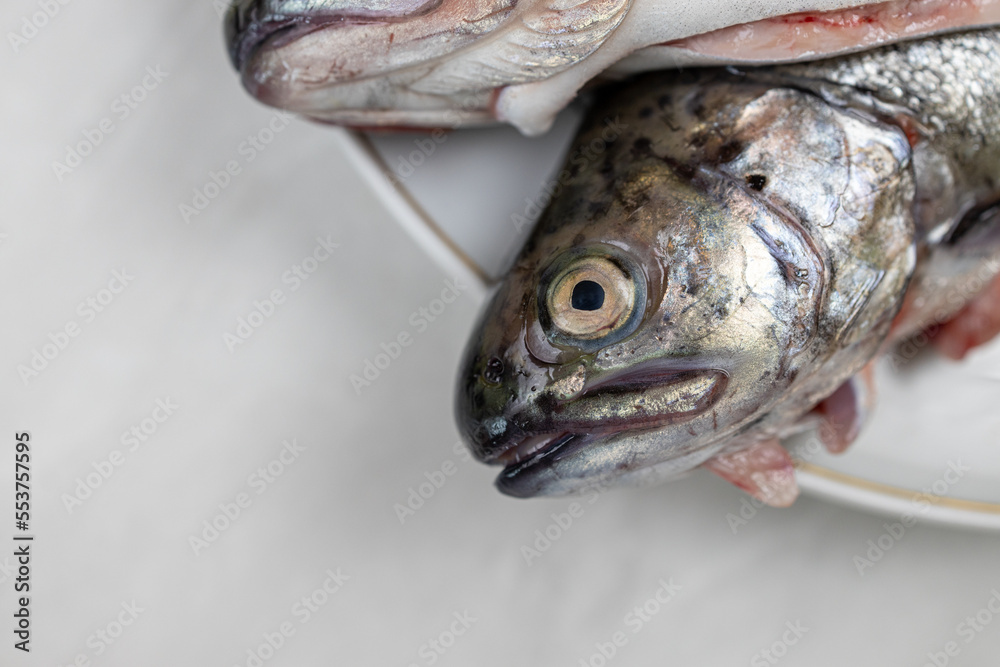 Fresh trout on the plate ready for preparing