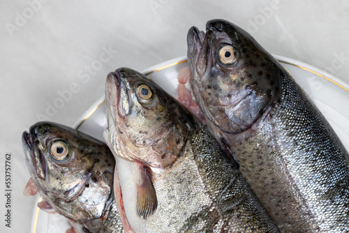 Fresh trout on the plate ready for preparing