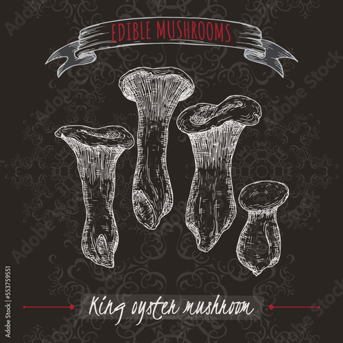 Pleurotus eryngii aka king oyster mushroom sketch on black background. Edible mushrooms series.