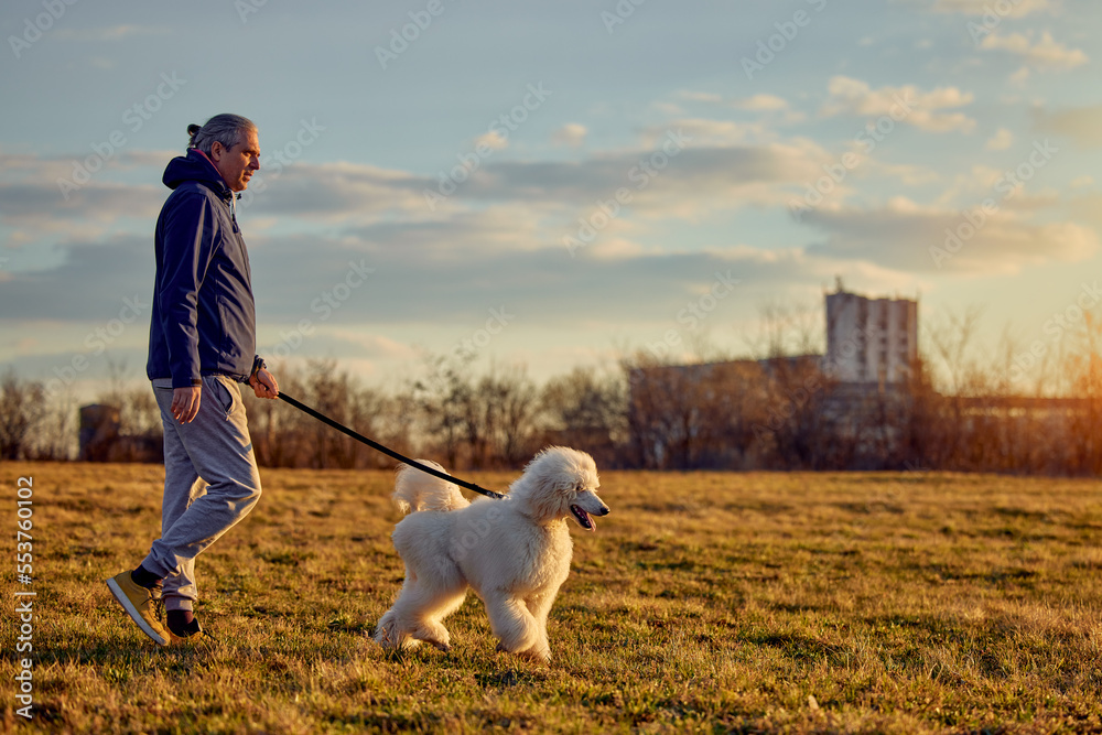 A man walking with his dog in a field A man walking with his dog in a field