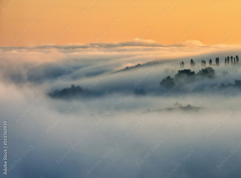 Trees in the Fog. Autumn morning. Nature of Ukraine