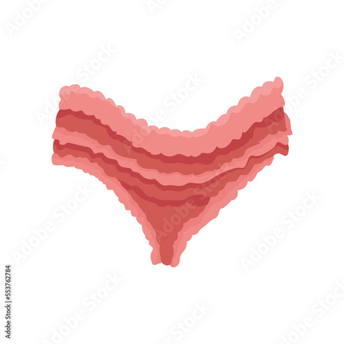 Pink women panties with ruffles cartoon illustration. Cartoon drawing of female cotton or silk underwear, ruffled slip isolated on white background. Lingerie, femininity, glamour concept