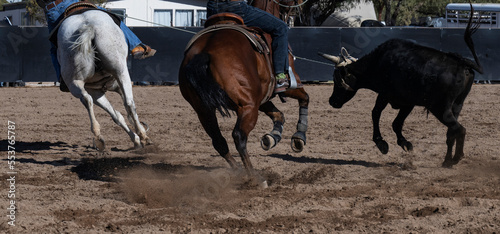 Fototapeta Naklejka Na Ścianę i Meble -  Cowboys and a steer in an Arizon roping event
