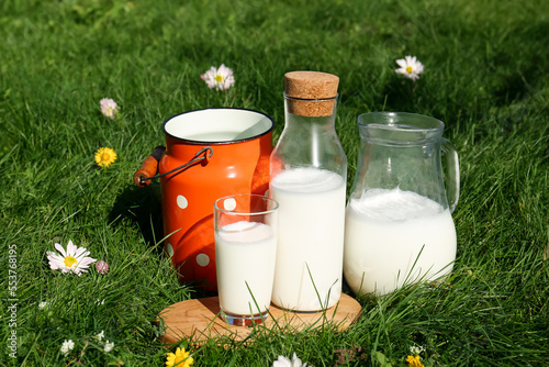 Tasty fresh milk on green grass outdoors