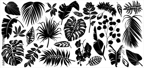 Vector tropical leaves silhouettes. Monochrome set