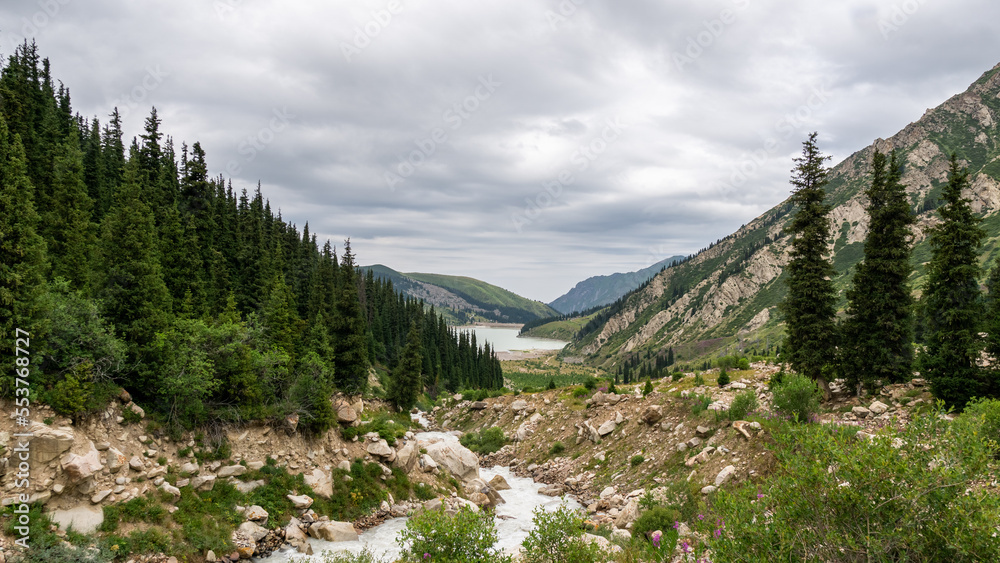 a river overgrown with forest in a mountain gorge a river overgrown with forest in a mountain gorge
