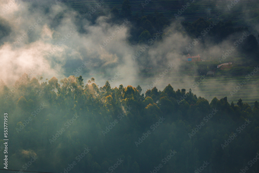 landscape of mountains and trees in the fog