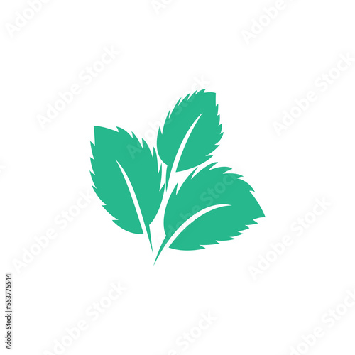 Green leaf logo ecology nature element vector icon