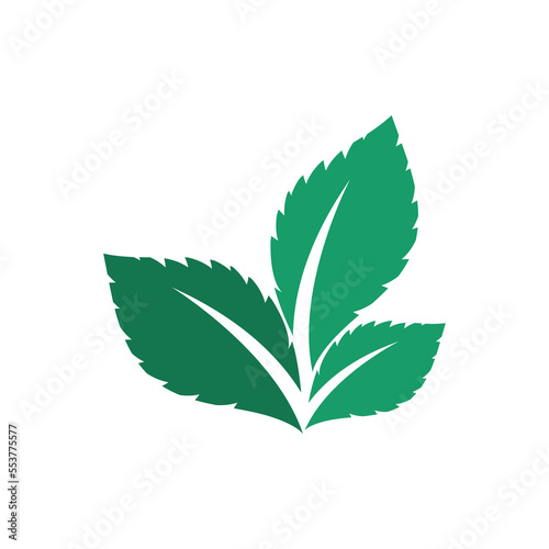Green leaf logo ecology nature element vector icon