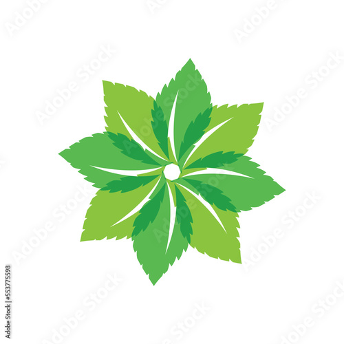 Green leaf logo ecology nature element vector icon