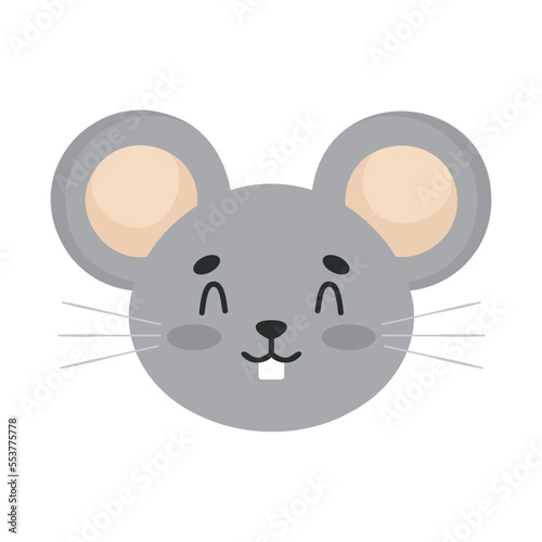 mouse head animal