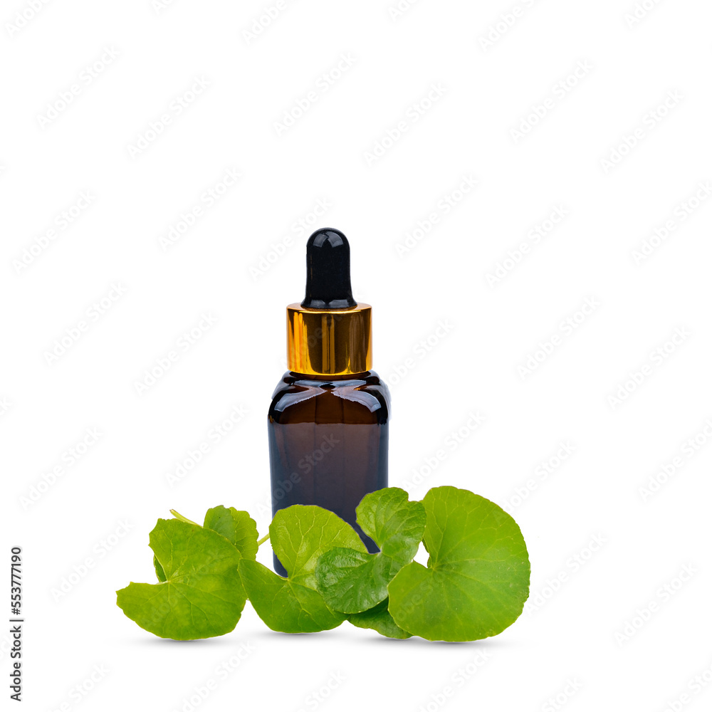 Gotu kola centella asiatica extract in amber bottle with fresh leaves isolated on transparent. Gotu kola centella asiatica extract in amber bottle with fresh leaves isolated on transparent.