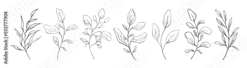 Set of black line art branch, leaf, plants. Botanical floral outline pencil sketch leaves isolated on white background. Hand drawn black simple vector illustration