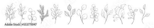 Set of black fine art branch, leaf, plants. Botanical floral foliage outline pencil sketch leaves isolated on white background. Hand drawn line art black simple vector illustration