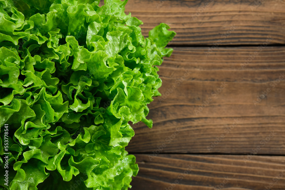 Head of green lettuce salad on wooden kitchen table, top view. Copy space for text. Healthy diet food. Head of green lettuce salad on wooden kitchen table, top view. Copy space for text. Healthy diet food.