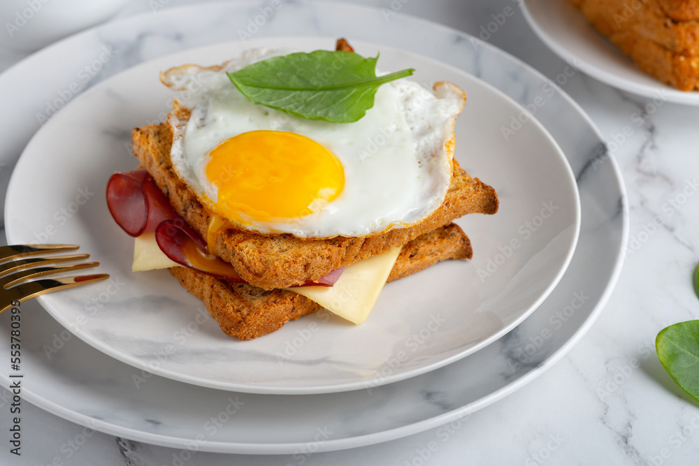 Sandwich with a fried egg, bacon, cheese and spinach Sandwich with a fried egg, bacon, cheese and spinach