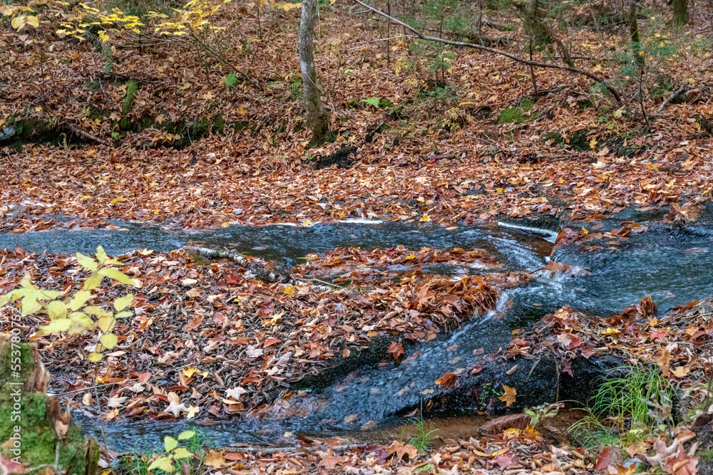 River and trees with fall colors at Cap de la Fée forest near Sain Donat de Montcalm. Quebec. Canada.