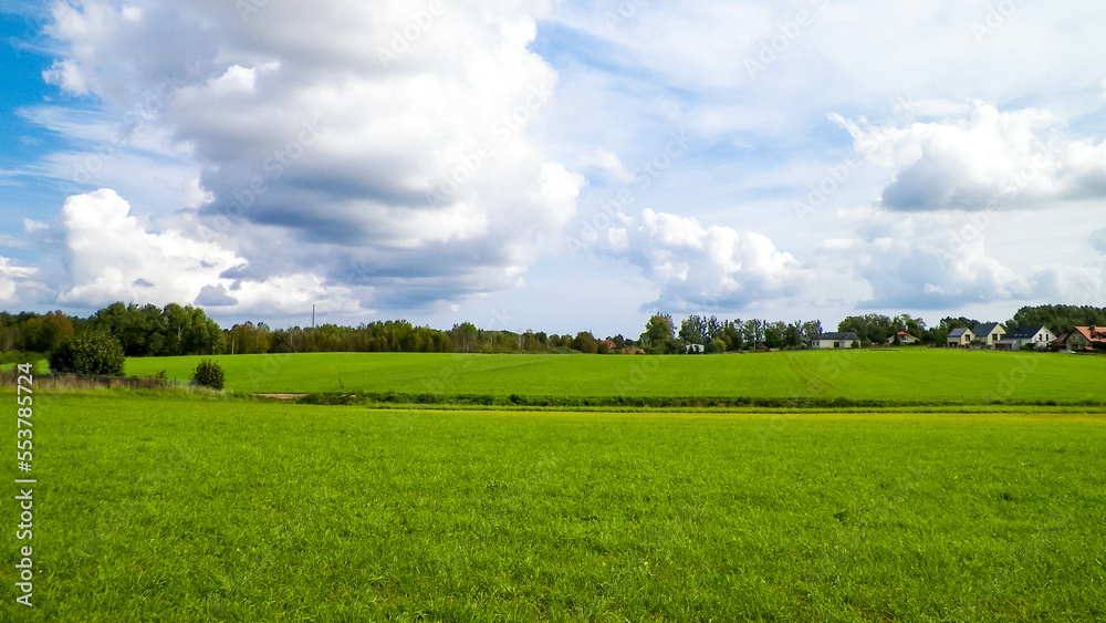 Green field in the Kashubian countryside. Poland.
