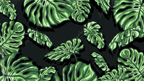 Green leaves monstera on a dark background vector
