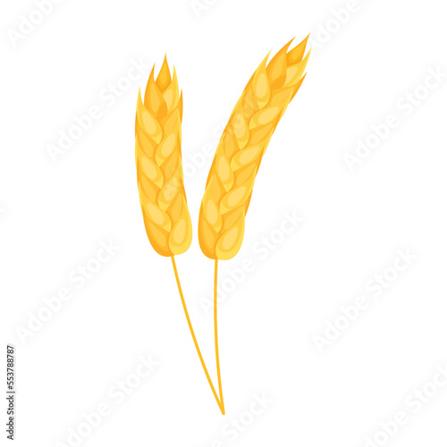 wheat spikes icon