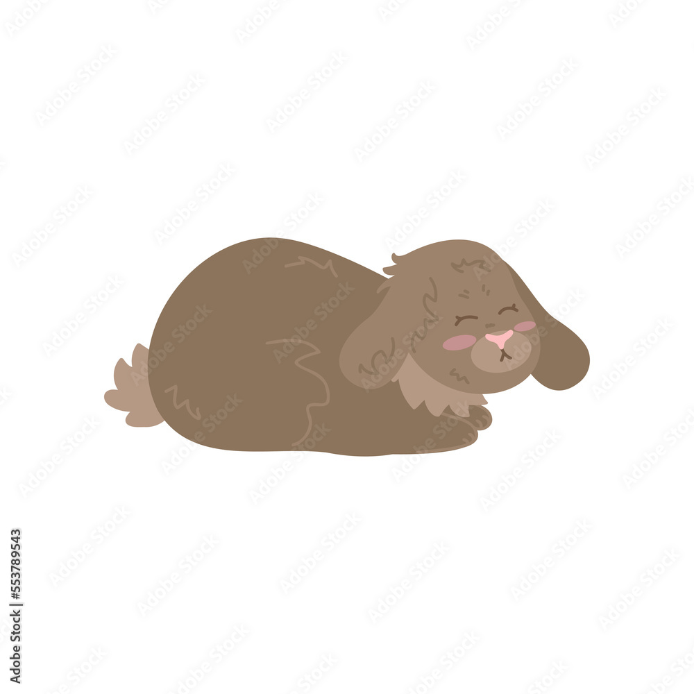 Funny brown rabbit sleeping on white background. Cute bunny cartoon illustration. Farm animal concept Funny brown rabbit sleeping on white background. Cute bunny cartoon illustration. Farm animal concept