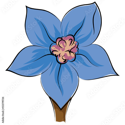 Bluebell  