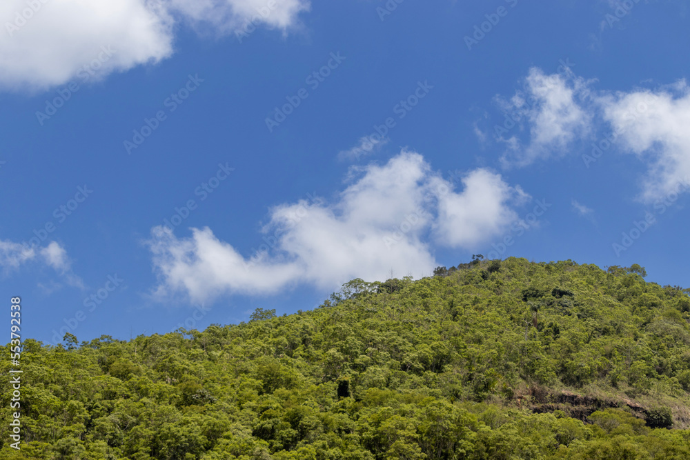 clouds over the forest