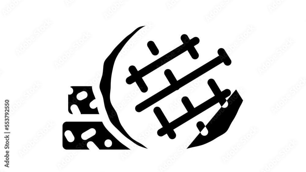 cutlets food glyph icon animation